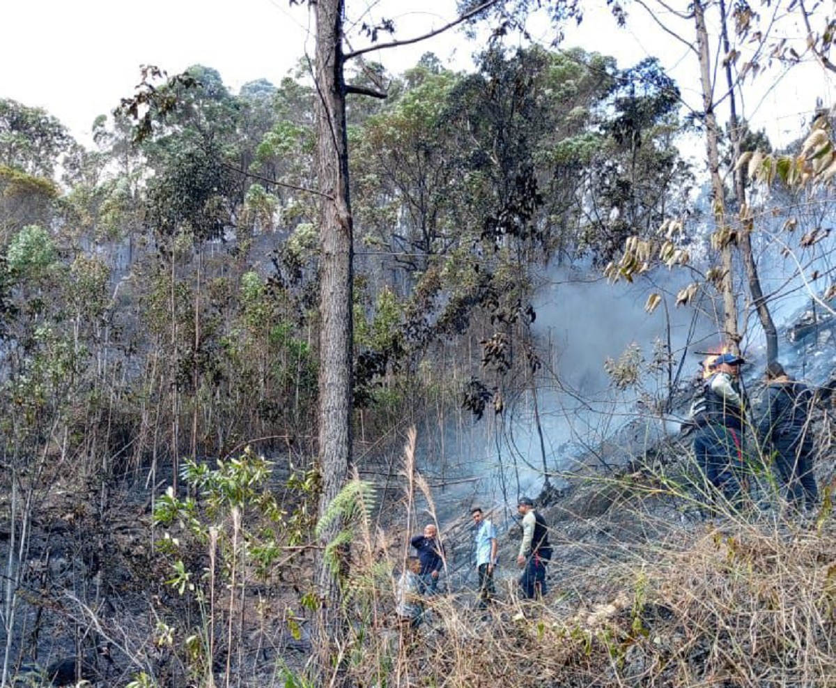 Tragedia en El Hatillo: Avioneta se estrella en cerro El Volcán, tres víctimas fatales.