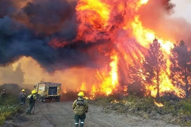 «Devastadores incendios arrasan con 20.000 hectáreas en la Patagonia Argentina» – Noticias de Última Hora