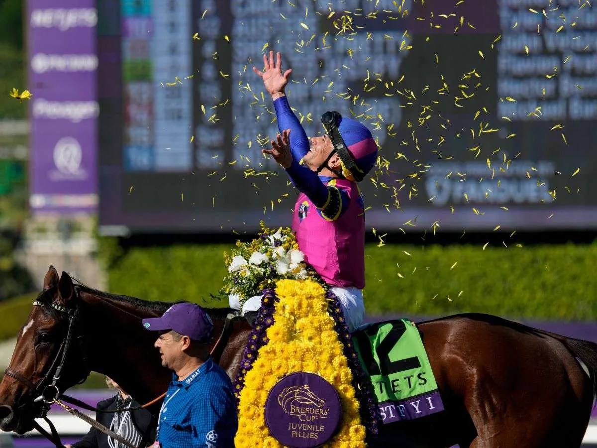 Junior Alvarado brilla con dos Stakes en Tampa Bay