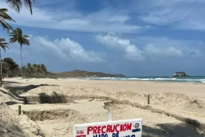 Inician construcción de vivero para la conservación de tortugas marinas en Playa El Agua