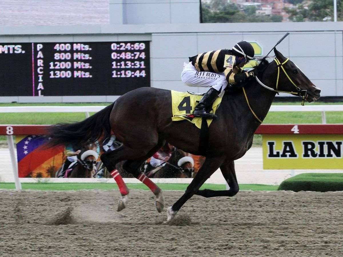 The Queen Nani arrasa en la cuarta carrera