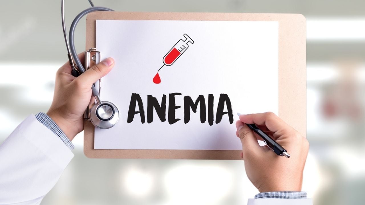 Hierba medicinal: aliada contra la anemia