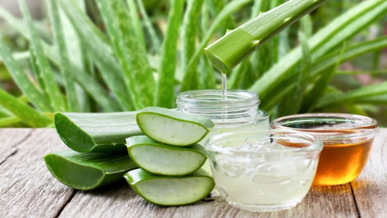 Secretos de belleza: Aloe vera para un cabello increíble