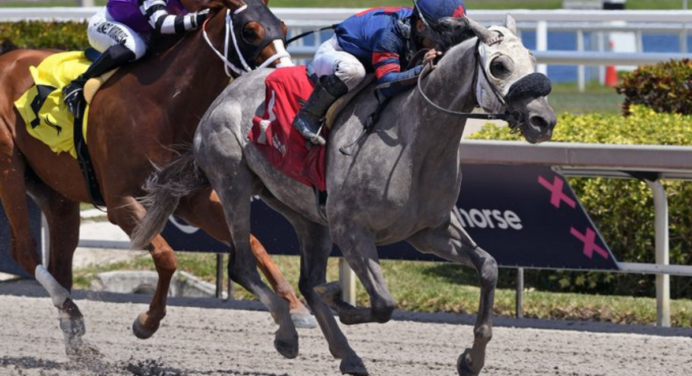 Florida Derby: La emoción del turf en su máximo esplendor.