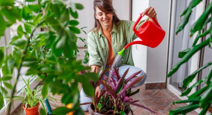 5 plantas para un jardín florido en verano: ¡siembralas en abril!