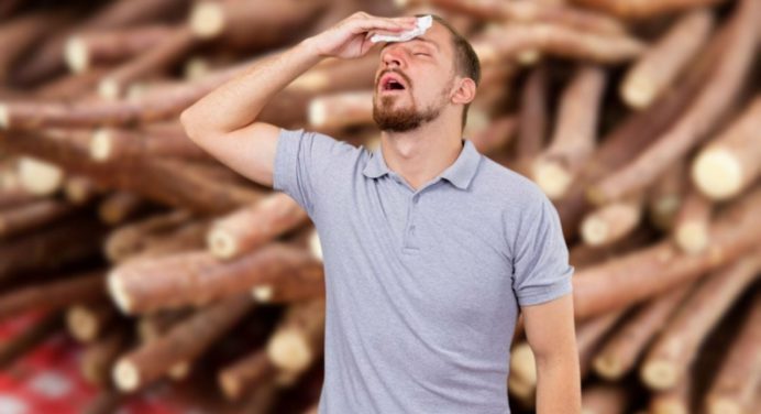 El poder de la planta medicinal para tu salud