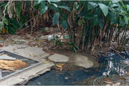 Emergencia Sanitaria en Porlamar: Cloacas Desbordadas Afectan a Vecinos de la Calle Charaima