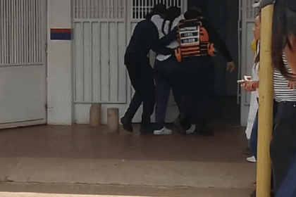 Ataque de un enjambre de abejas dejó al menos 32 heridos en Falcón