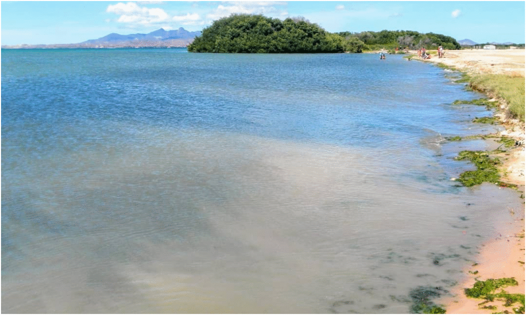 Mujer fallece ahogada en Playa de Laguna de Raya, Nueva Esparta