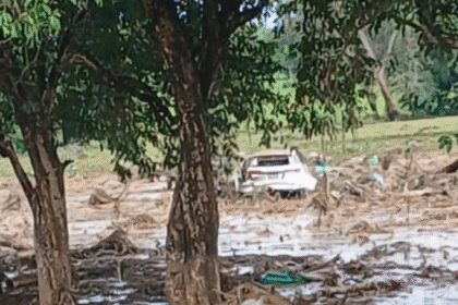 Portuguesa: Un hombre fallece debido a las lluvias torrenciales