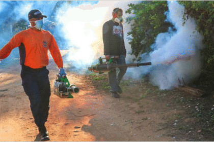 Nueva Esparta inicia plan de fumigación y vacunación para fortalecer la salud pública