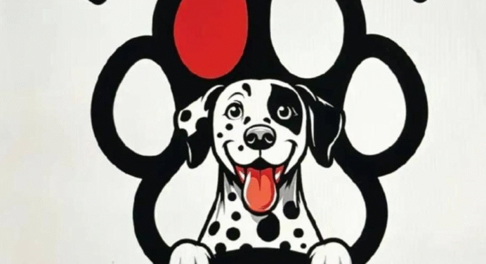Margarita: Sede protectora de animales tiene 30 horas sin electricidad