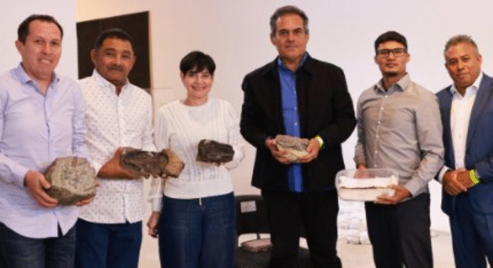Descubren fósiles de ictiosaurio por primera vez en el país