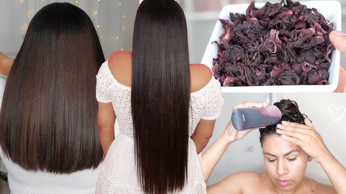 ¡Adiós Cabello Seco! Mascarilla de Jamaica y Coco CASERA