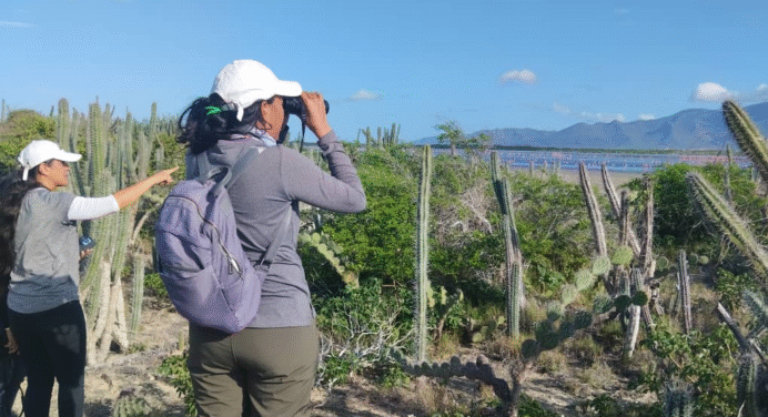 Nueva Esparta en el Top 5 Mundial de Avistamiento de Aves tras el ‘Bird Day 2025’