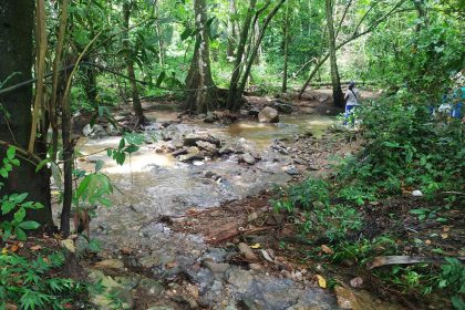 Alerta en Margarita: Lluvias de fin de año activan riesgo de crecidas en los principales ríos de la Isla