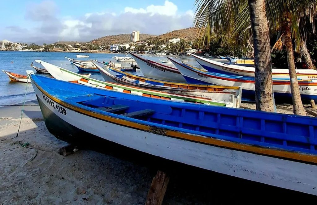 Crisis de sardina en Margarita 2026: Pescadores exigen precios justos