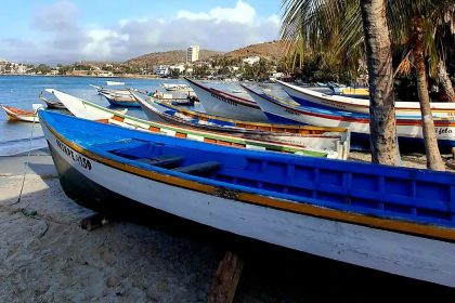 Crisis de sardina en Margarita 2026: Pescadores exigen precios justos