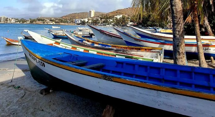 Crisis de sardina en Margarita 2026: Pescadores exigen precios justos