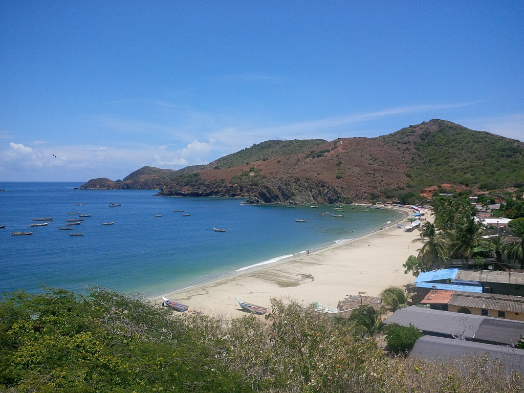 Enorme mantarraya vara en Playa Manzanillo