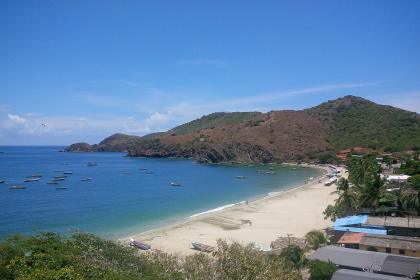Enorme mantarraya vara en Playa Manzanillo +VIDEO