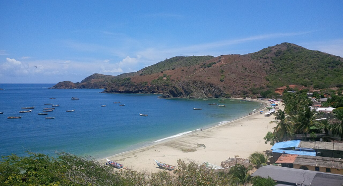 Enorme mantarraya vara en Playa Manzanillo +VIDEO