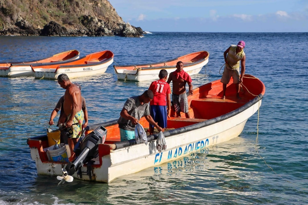 Pescadores piden a Insopesca justo control sobre próximo precio de la sardina