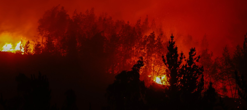 Autoridades chilenas detuvieron a un tercer sospechoso por su presunta vinculación con los incendios forestales en el sur de Chile, que han dejado graves daños ambientales y materiales.