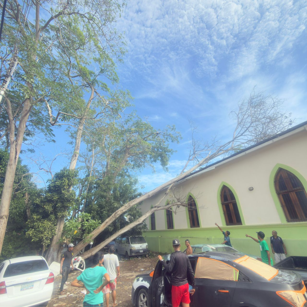 Arbol cae sobre iglesia de Palguarime