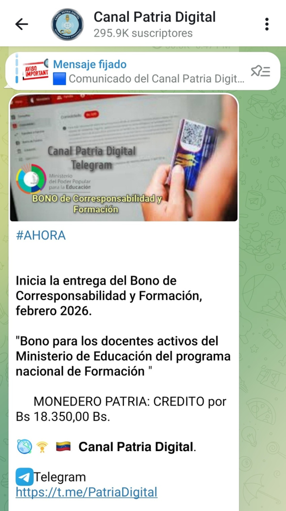 Bono Corresponsabilidad Docentes Febrero 2026 / Foto oficial Canal Patria Digital