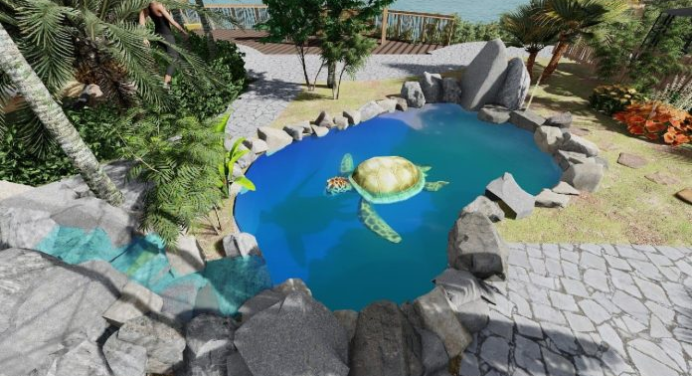 En Nueva Esparta presentan proyecto para proteger la Fauna Marina