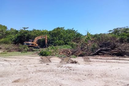 Alertan movimiento de tierra en ABRAE de Mariño