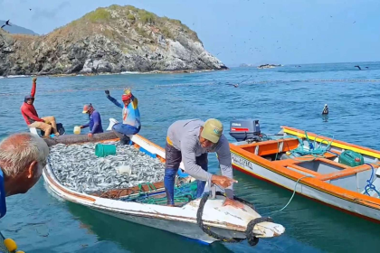 Nueva Esparta se prepara para la temporada de la sardina