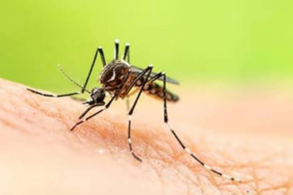Activan protocolo especial para viajeros por fiebre amarilla