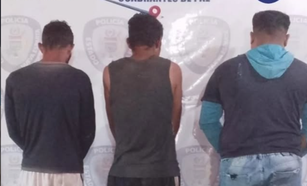 Detenidos por hurto y aprovechamiento en los municipios Marcano y Gómez