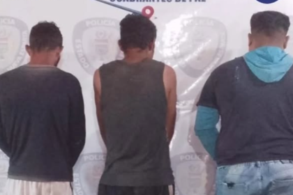 Detenidos por hurto y aprovechamiento en los municipios Marcano y Gómez
