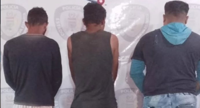 Detenidos por hurto y aprovechamiento en los municipios Marcano y Gómez