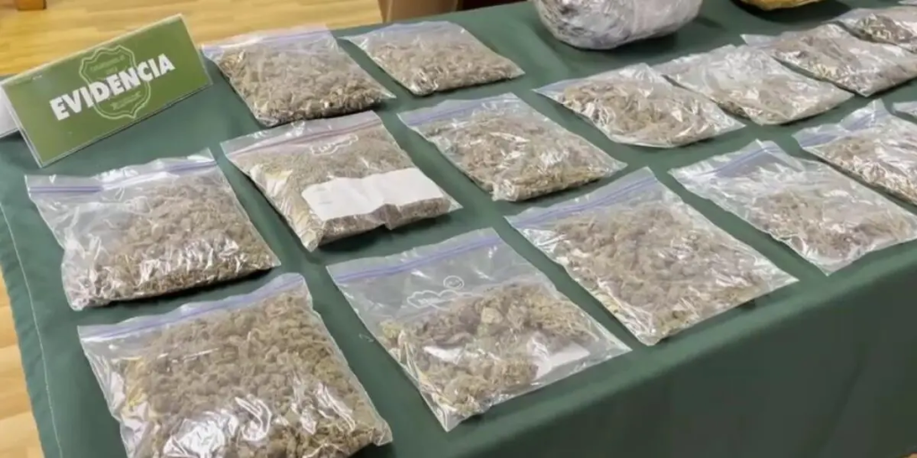 Capturan a venezolano en Chile por presunto tráfico de marihuana bajo modalidad delivery