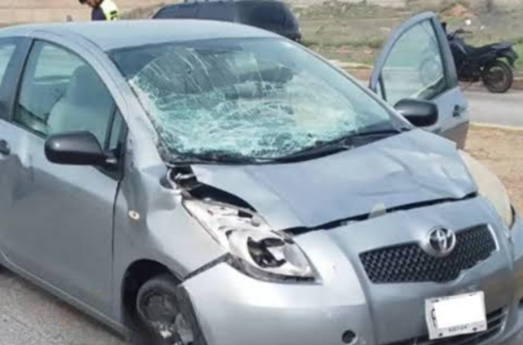 Yegua suelta causó fuerte accidente en la Av. Bolívar de Porlamar