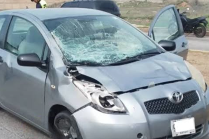Yegua suelta causó fuerte accidente en la Av. Bolívar de Porlamar