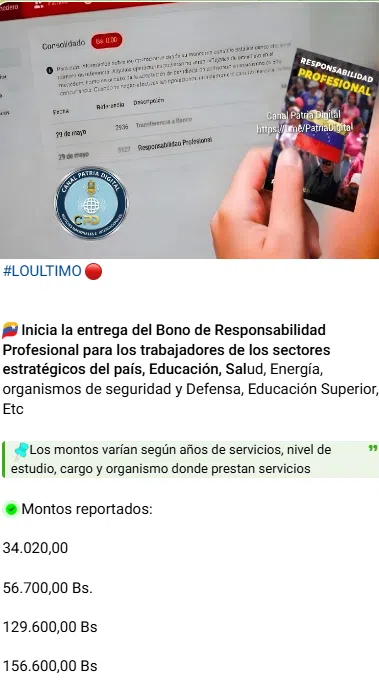 Bono de Responsabilidad Profesional de mayo 2026