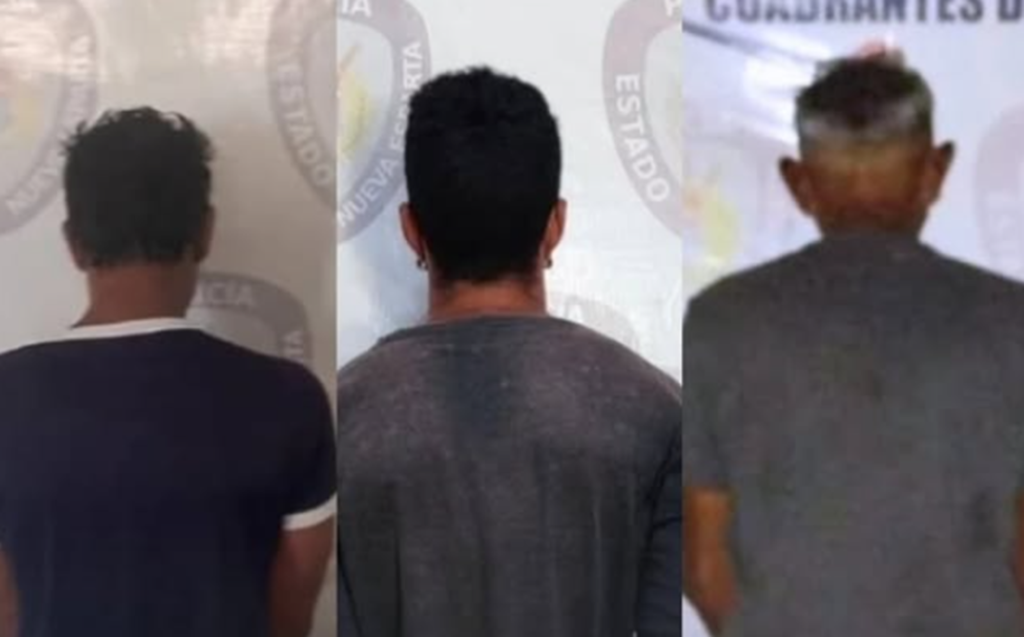 Drogas, violencia de género y hurto residencial dejan tres detenidos en Margarita