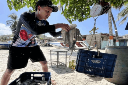 Nueva Esparta inicio de la temporada de pesca de pulpo 2026
