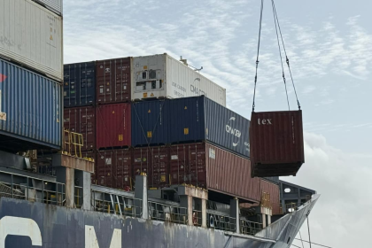 Nueva Esparta exporta 270 toneladas de algas a Europa y Suramérica
