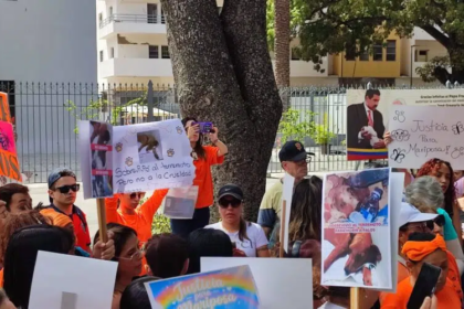 Protestan en Caracas exigiendo justicia por Mariposa, la perrita asesinada días después de ser rescatada en La Guaira