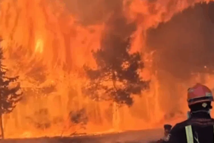 Incendios en España han forzado a evacuar o confinar a más de 88.600 personas