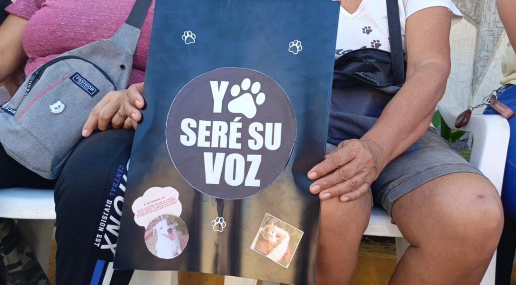 Piden justicia por el envenenamiento masivo de animales