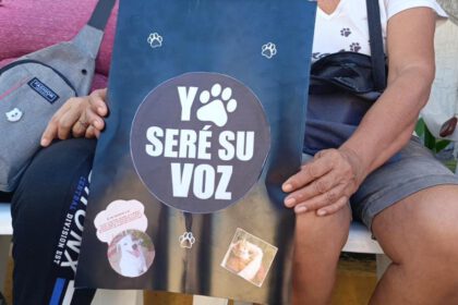 Piden justicia por el envenenamiento masivo de animales