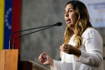 Diputada Desiré Barboza: «Para tener elecciones libres es indispensable un TSJ independiente»