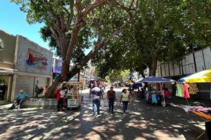 Emprendimientos impulsan un 50% de reactivación económica en la zona comercial de Porlamar
